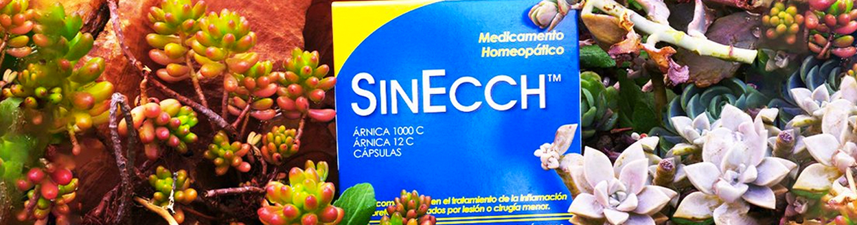 Sinecch