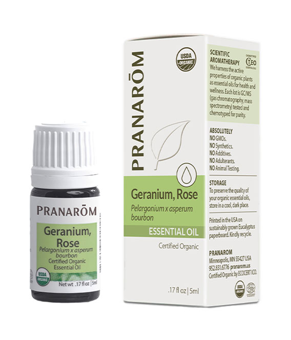 Geranio (Pelargonium x Asperum Bourbon)